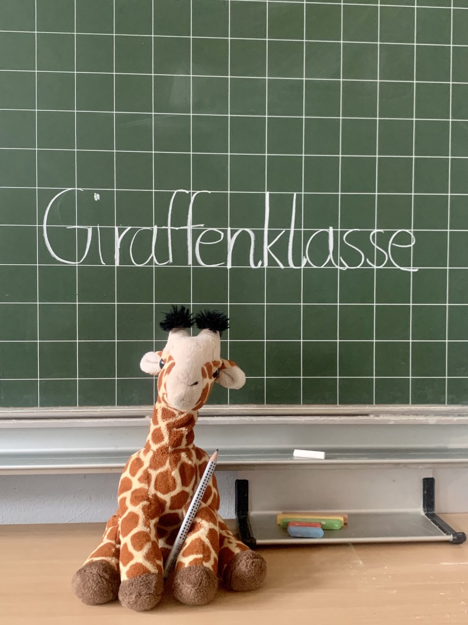 Giraffen