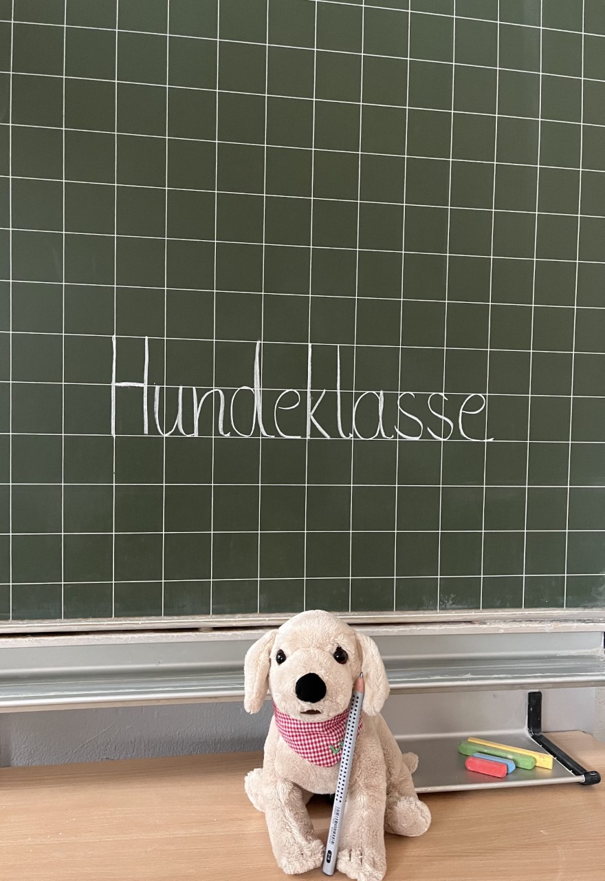 Hunde