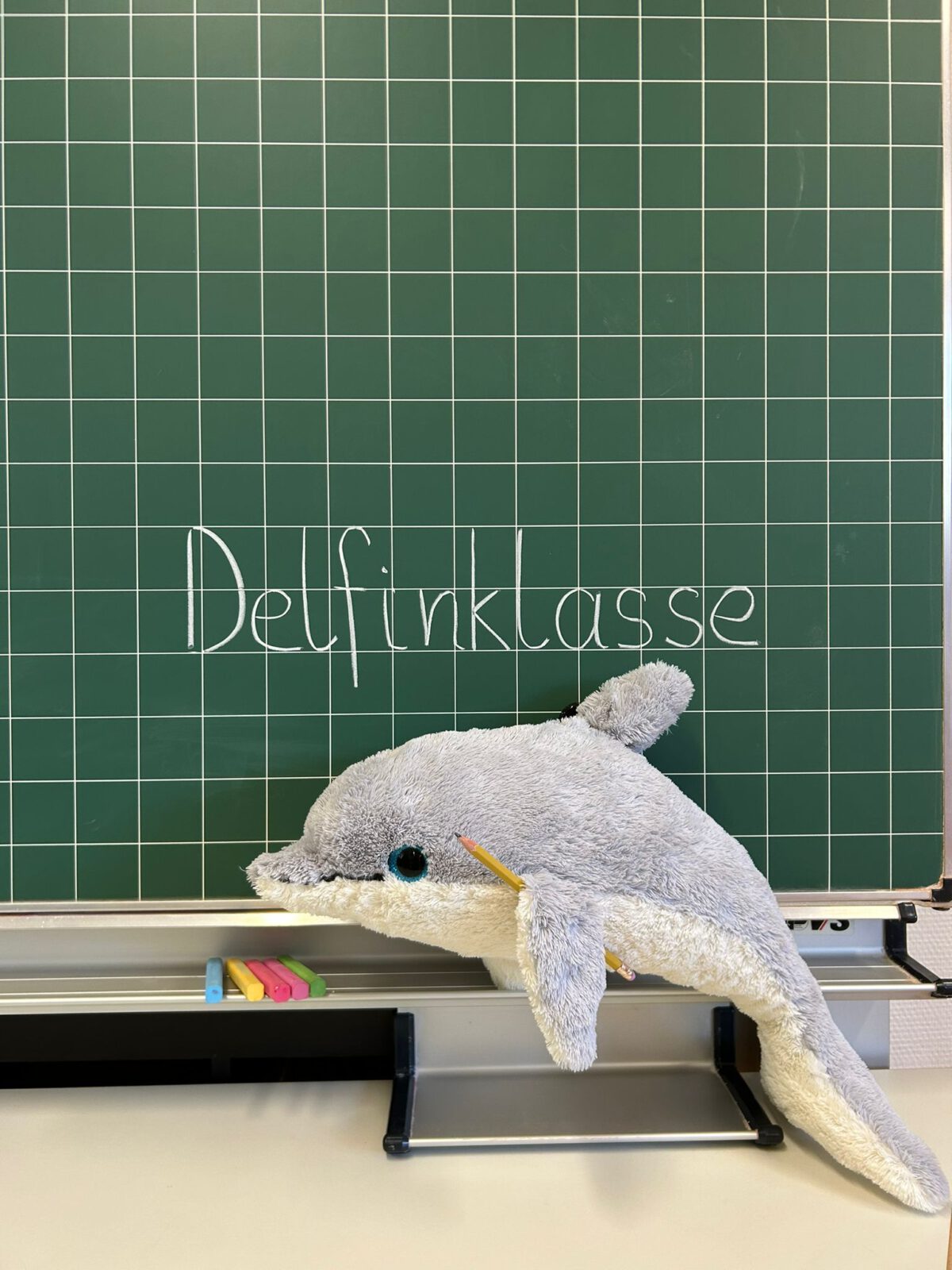 Delfin
