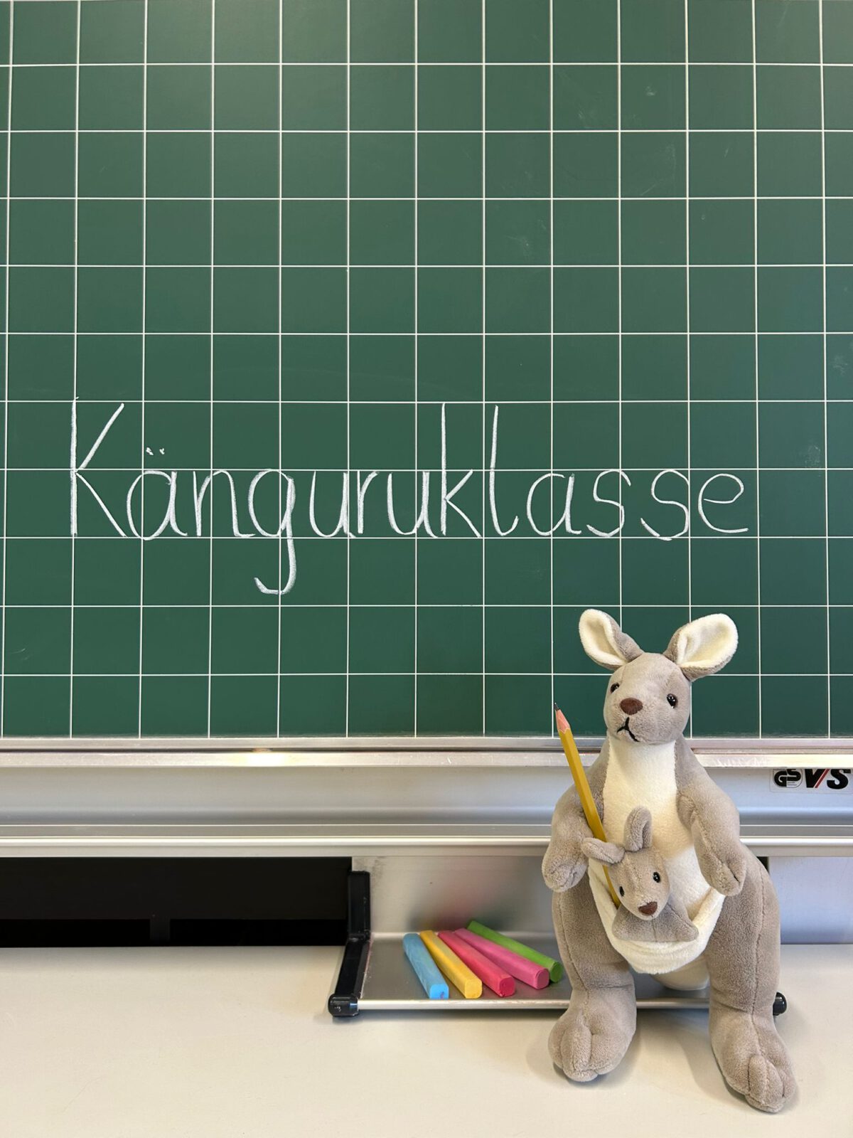 Känguru